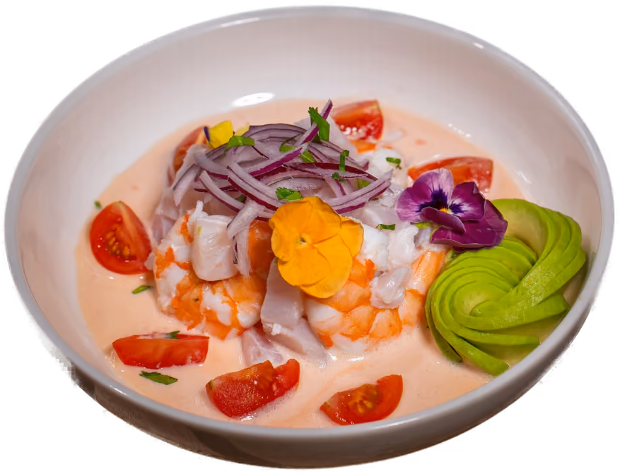 Jipijapa